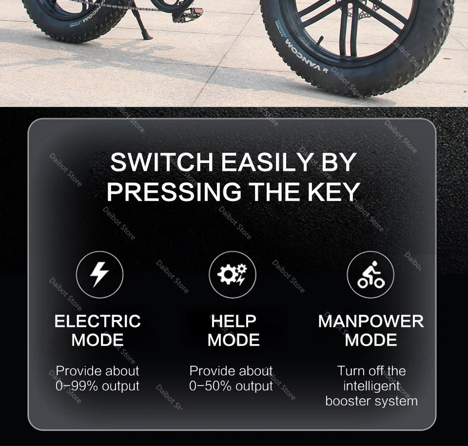 Powerful Electric bike 750W 48V Fat Tire bike