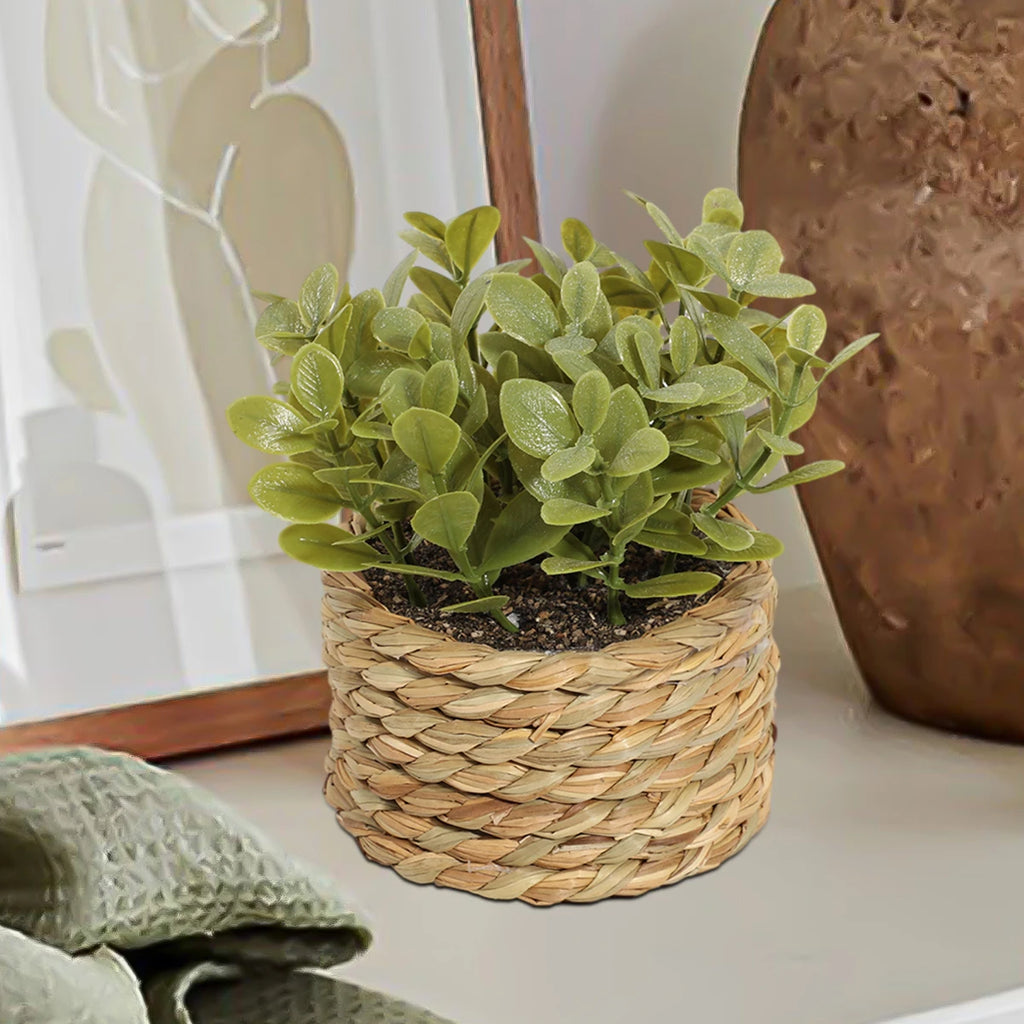 Small artificial green plant in a round, natural woven seagrass basket, sitting on a table with decor in the background.