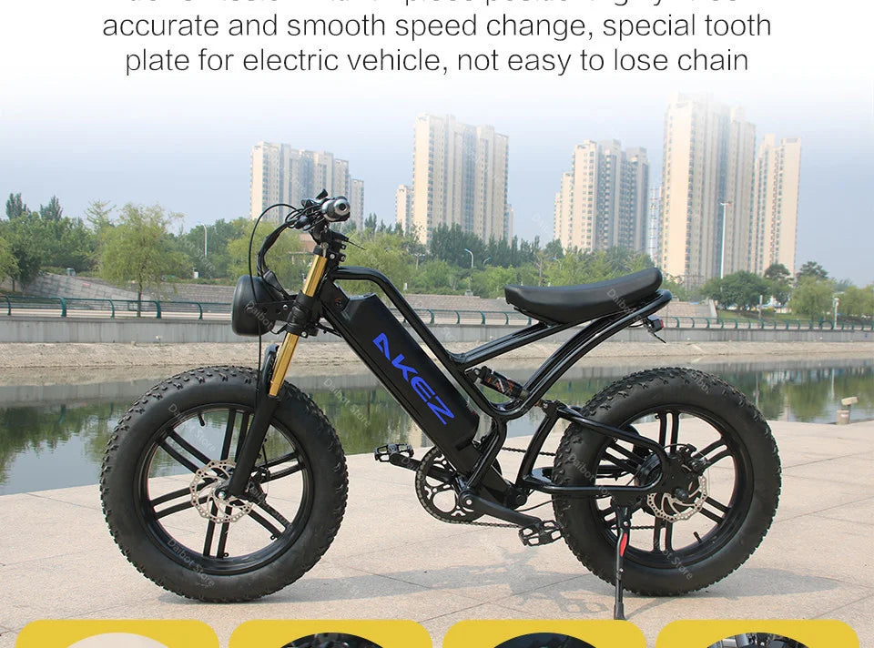 Powerful Electric bike 750W 48V Fat Tire bike