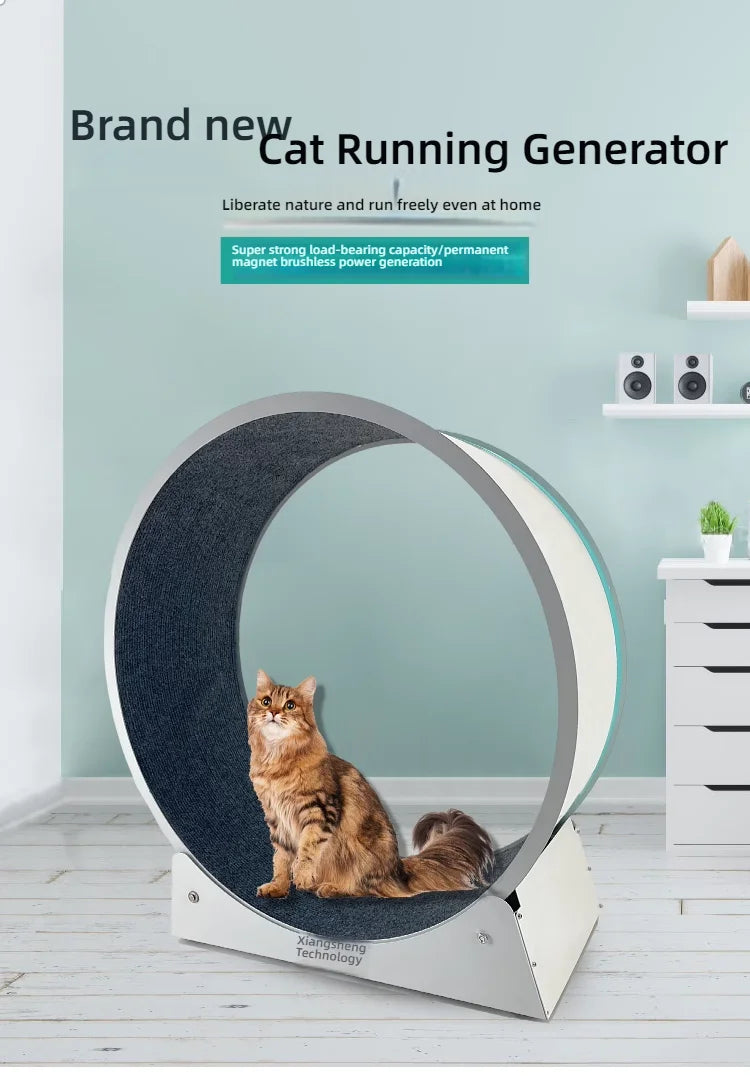 A fluffy cat sitting inside a modern, white circular pet exercise wheel with a textured, dark grey running track.