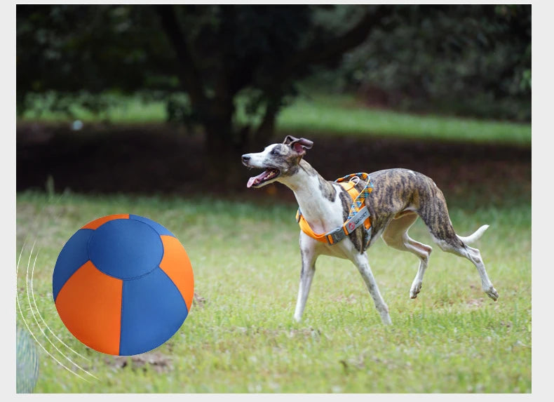 A brindle dog chases a vibrant blue and orange fabric-covered interactive ball across a grassy field.