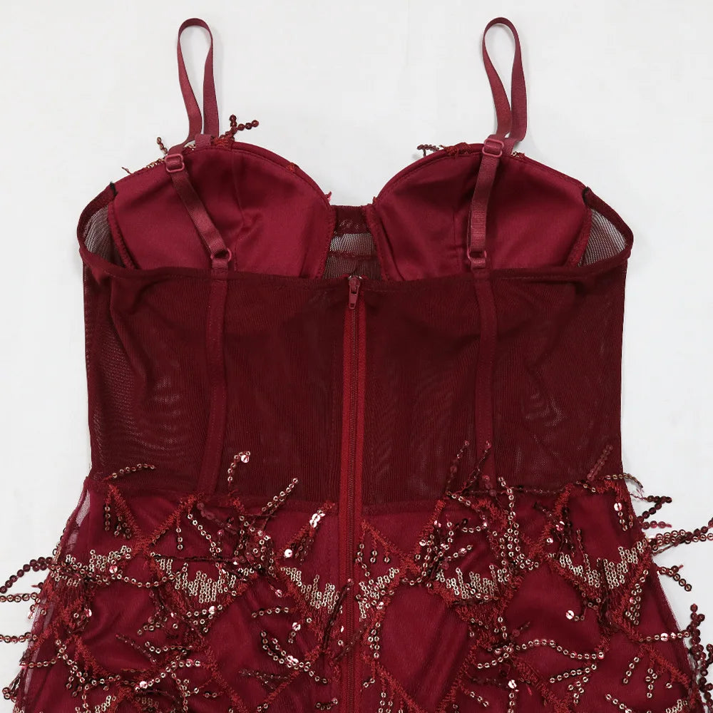 Burgundy spaghetti strap maxi dress with a corset bodice, sheer mesh back, back zipper, and sequin fringe details.