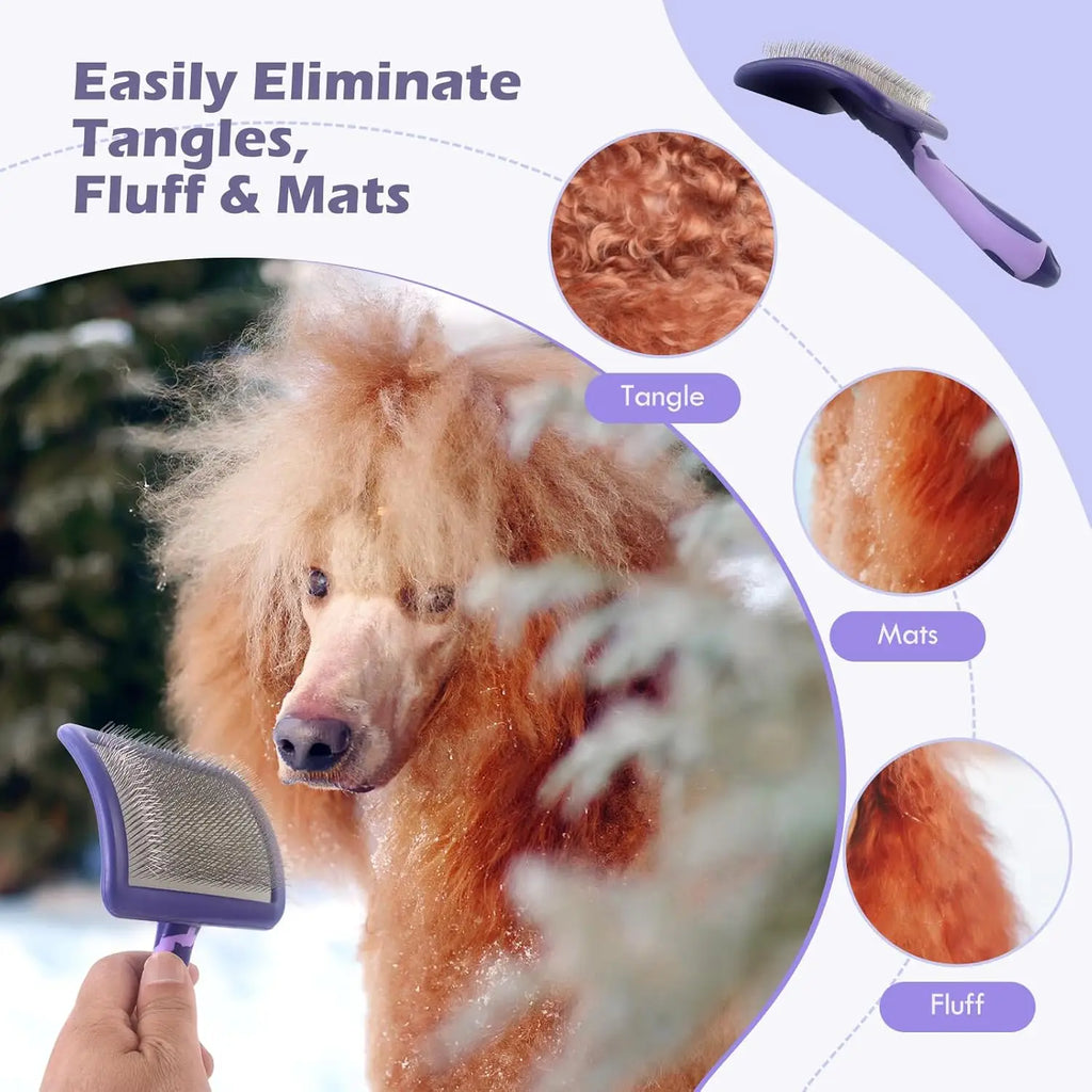 Purple dog grooming slicker brush with fine metal bristles, shown detangling a curly-haired dog's coat.
