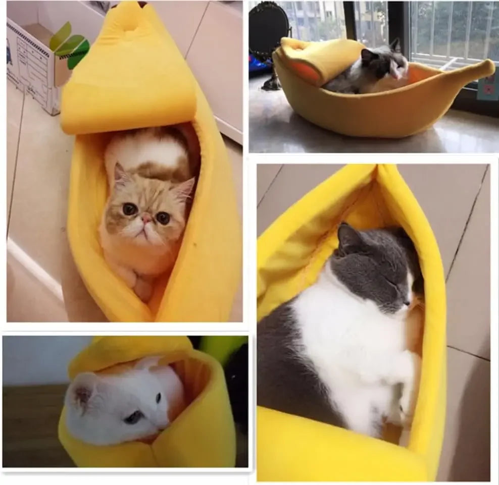 Soft yellow banana-shaped pet bed with a peel-open top, holding cats of various breeds.