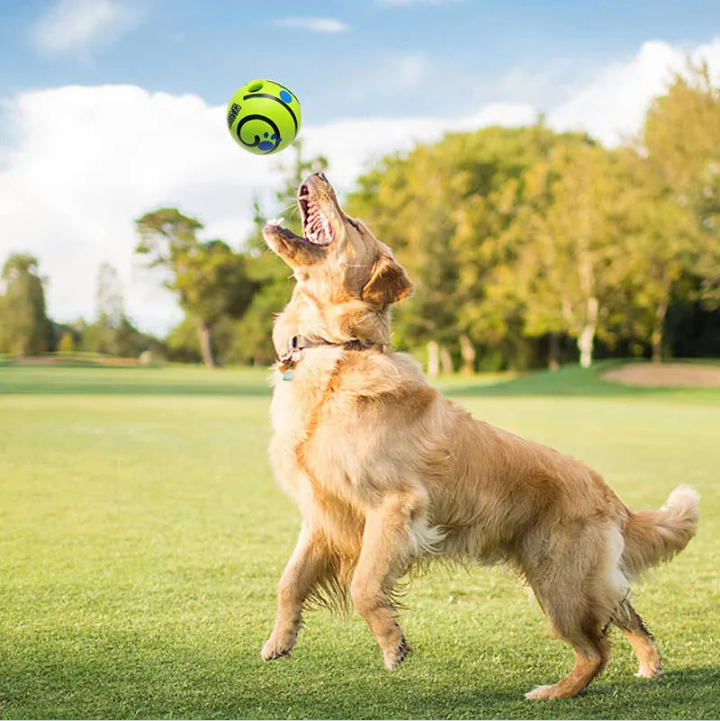 A golden retriever jumping to catch a bright green, round interactive dog toy in a sunny park.