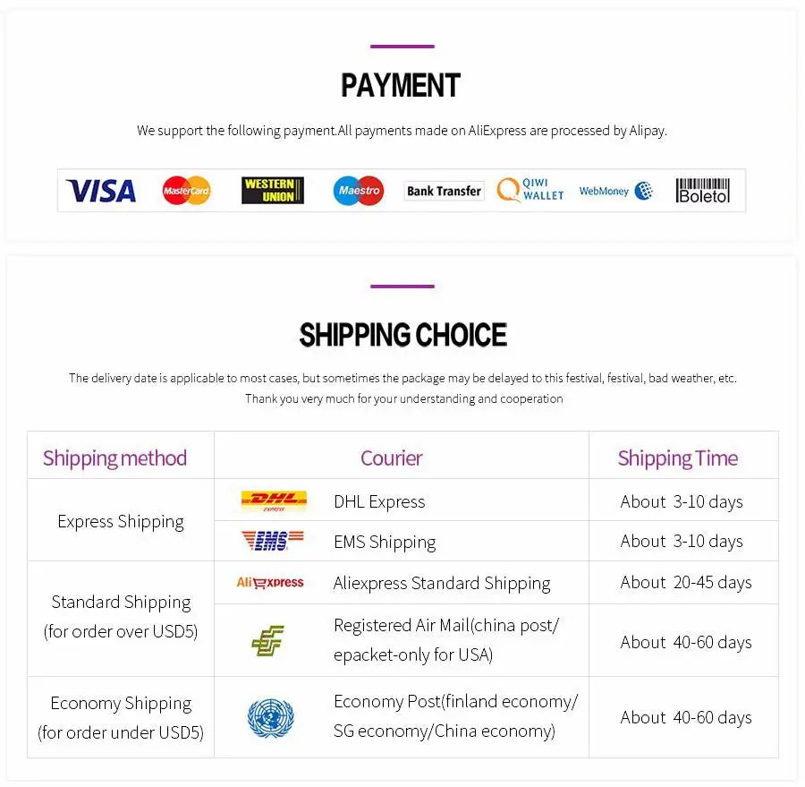 Information graphic showing accepted payment methods and various shipping options with estimated delivery times.
