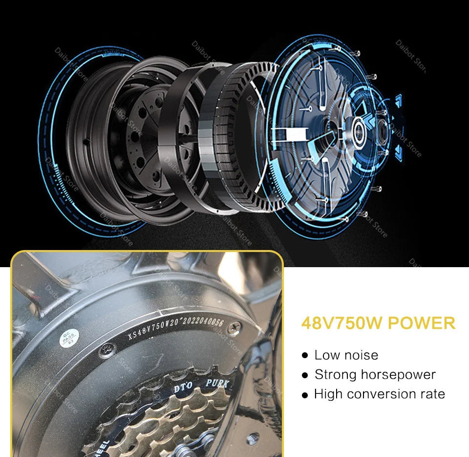 Powerful Electric bike 750W 48V Fat Tire bike