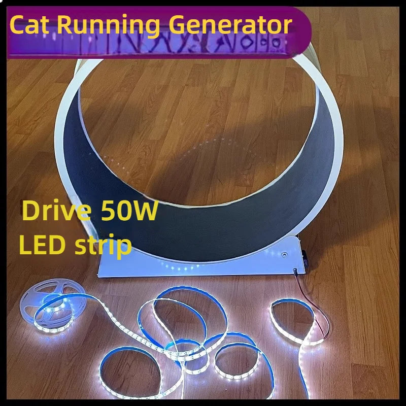 White circular cat exercise wheel with a black interior track and an included bright LED light strip on the floor.