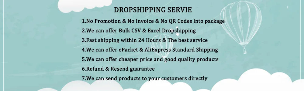 Light blue informational graphic with a list of seven dropshipping services and hot air balloon illustrations.