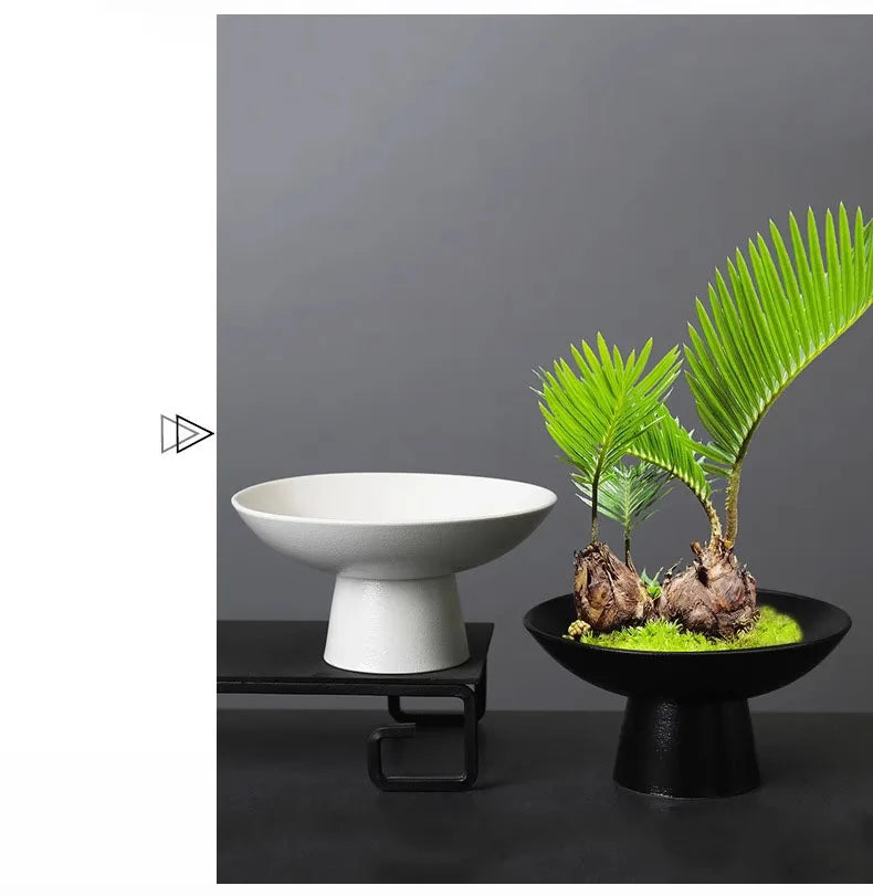 Elegant black and white ceramic pedestal bowls on a dark surface, one featuring a small potted palm tree plant.
