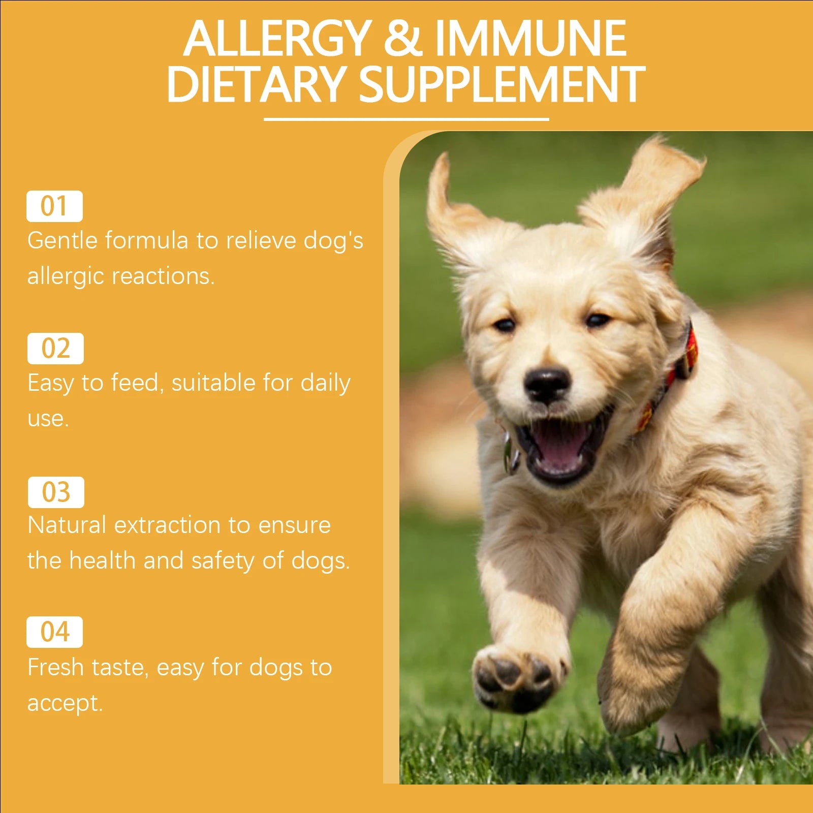 Golden puppy running on grass, promoting a natural allergy and immune dietary supplement for dogs.