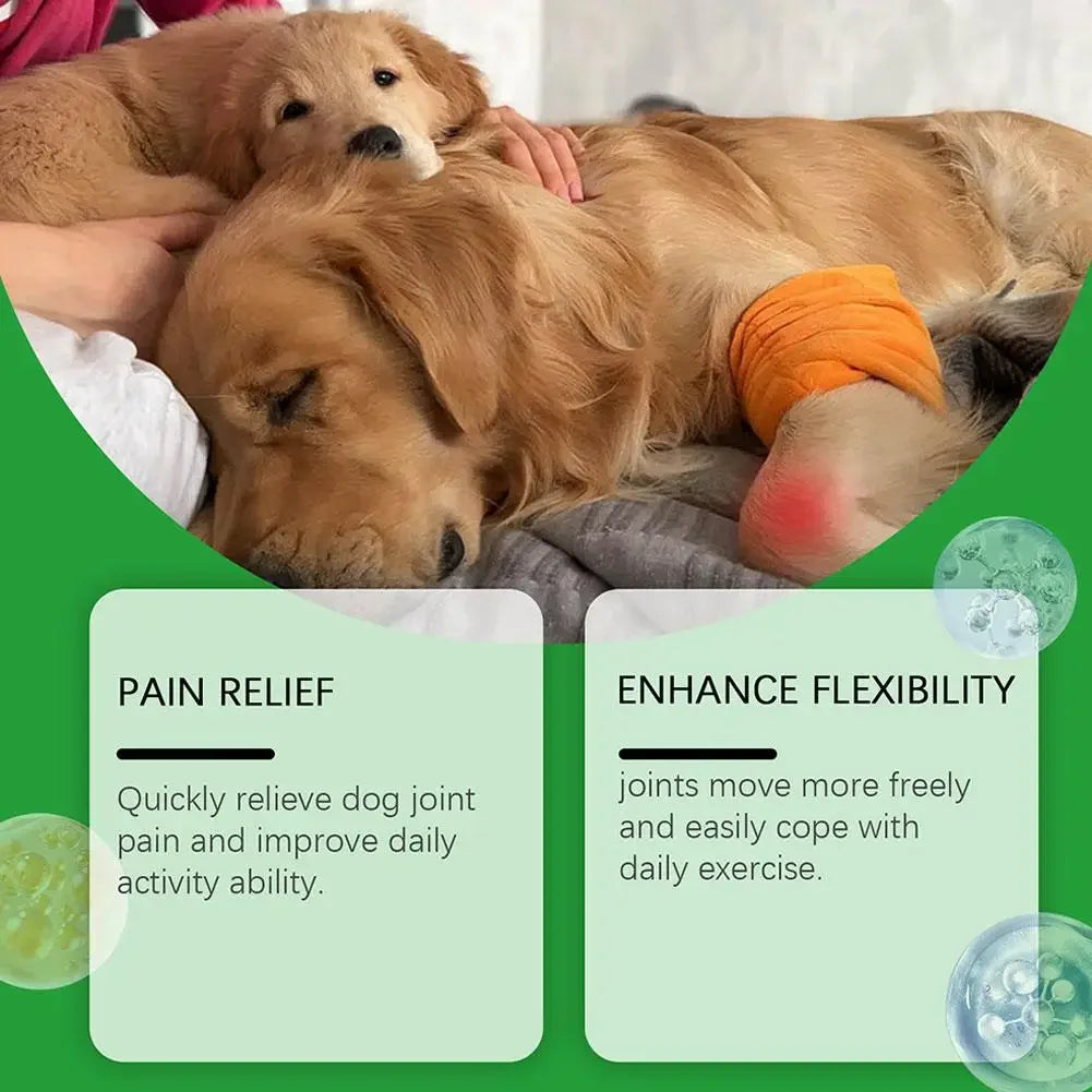 A golden retriever resting with a bright orange leg bandage to support joint pain relief and enhanced flexibility.