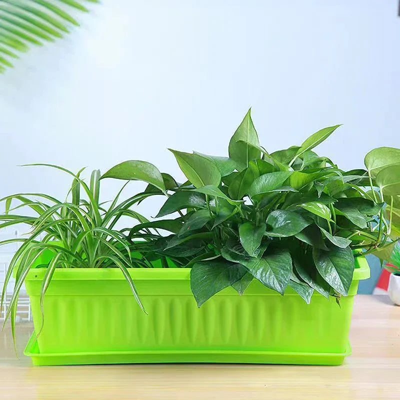 A bright green, rectangular plastic planter with two lush green indoor plants, sitting on a wooden surface.