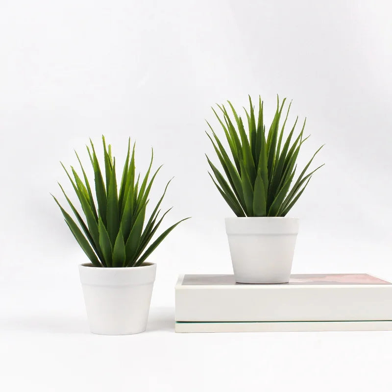 Two artificial spiky green plants in simple white pots, one set on a white book, against a plain white background.