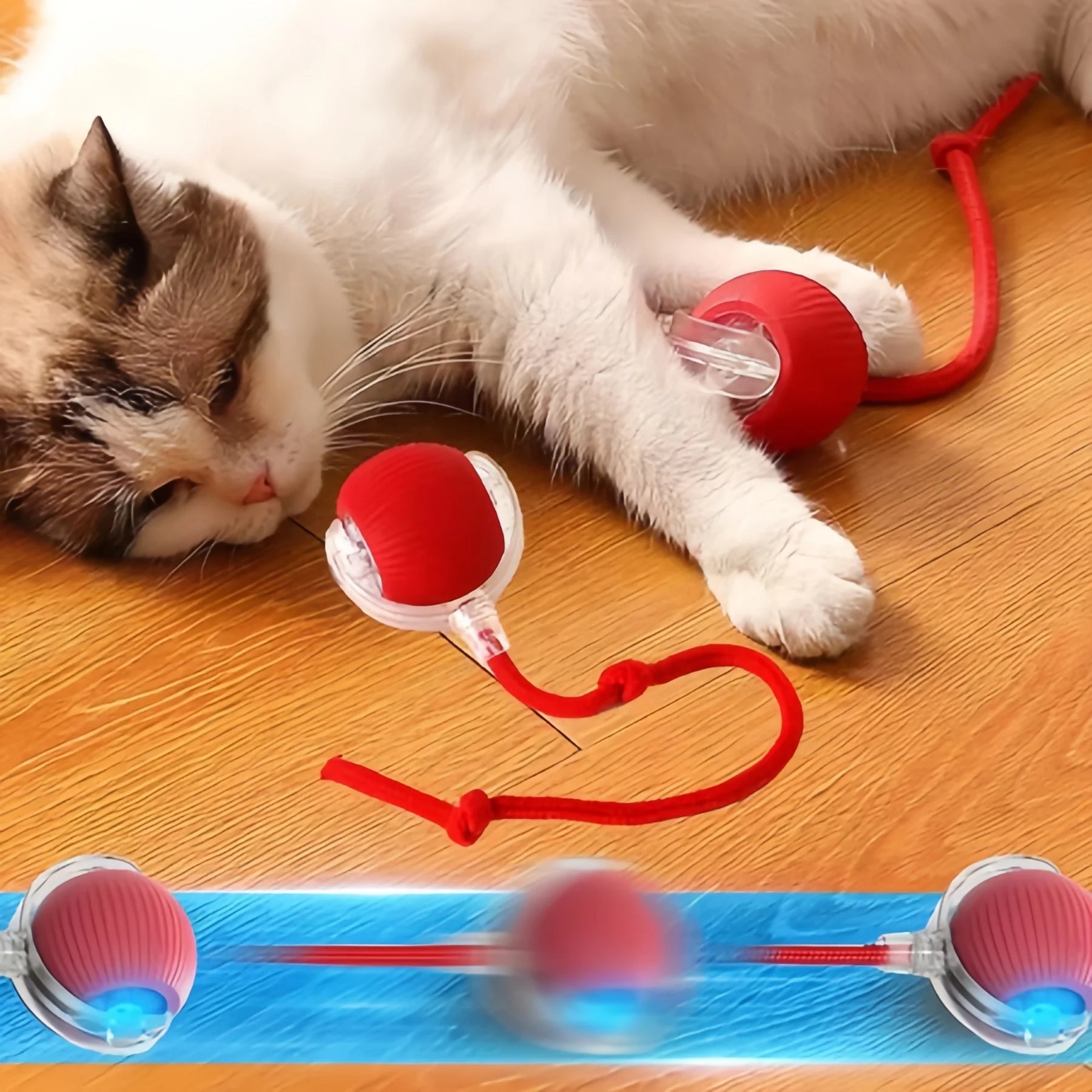 A cat lying on a wooden floor playing with a red interactive ball toy featuring a clear casing and attached cord.