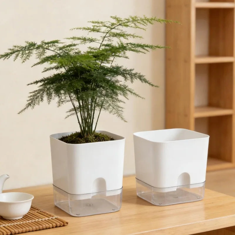 Two white, square self-watering plastic pots on a wooden table, one containing a lush fern and one empty.
