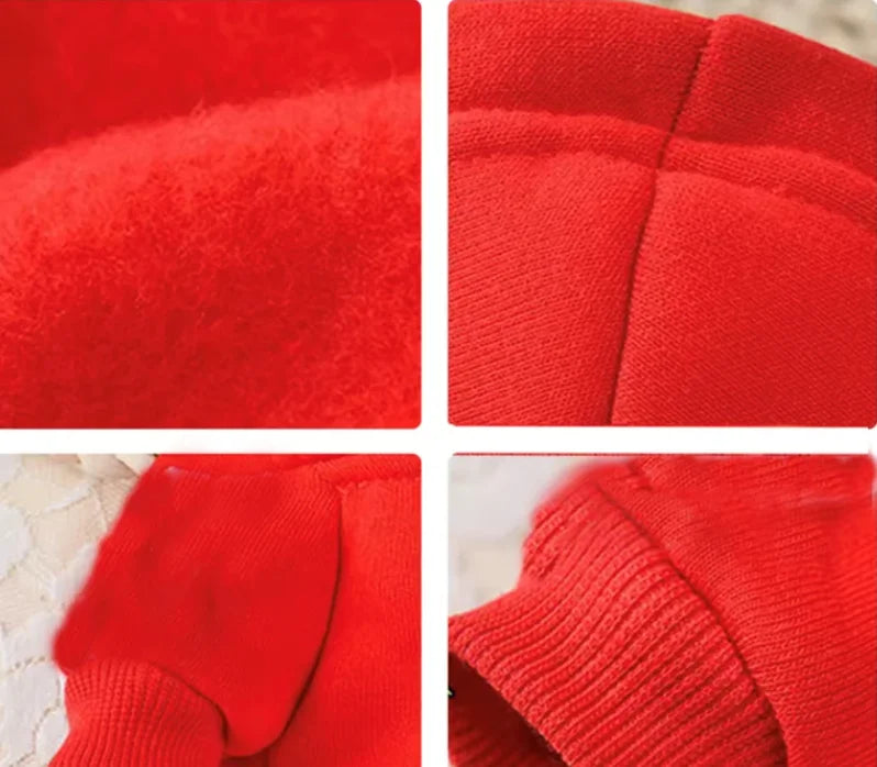 Close-up details of a red casual dog hoodie, featuring soft fleece lining, durable seams, and ribbed cuffs.