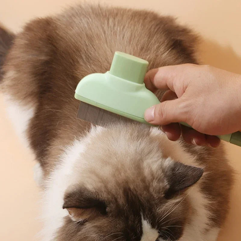 A hand holding a pastel green pet grooming brush with fine metal teeth, used to groom a fluffy brown and white cat.