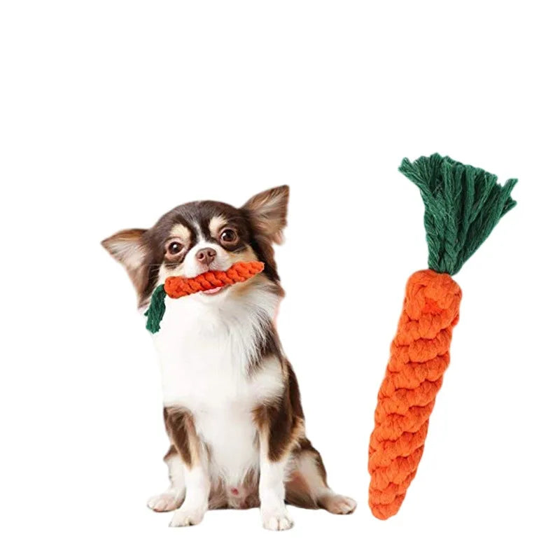 A small dog holding a braided orange carrot rope toy with green leaves, perfect for dog teeth cleaning.