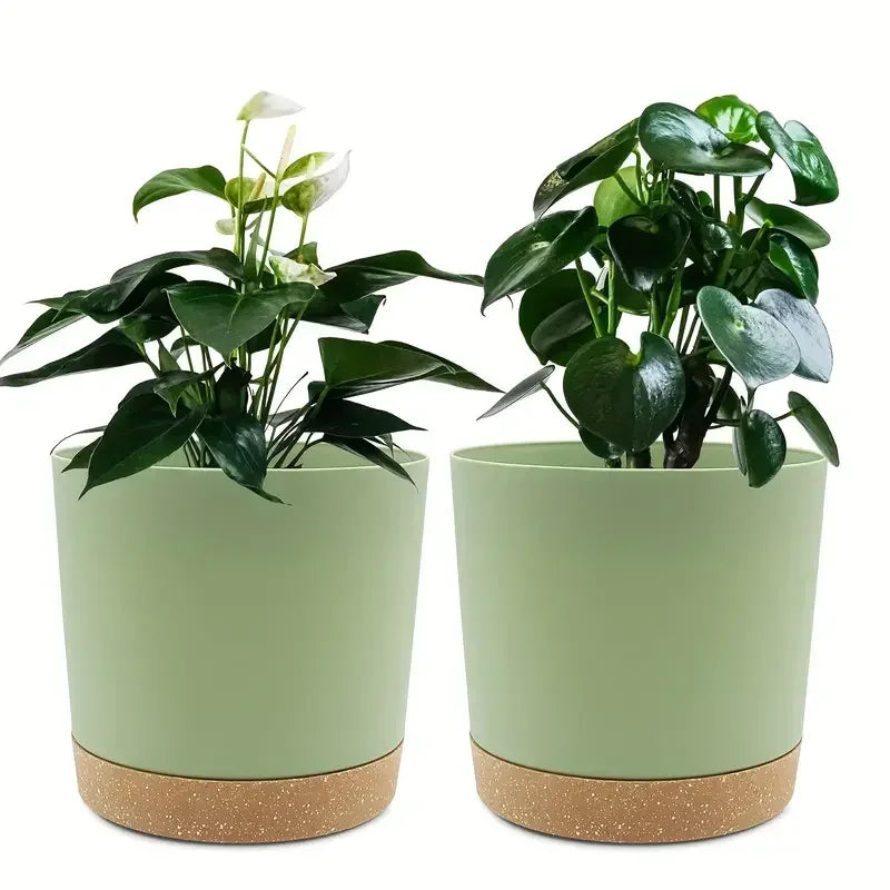 Two sage green plant pots with speckled cork-like bases, each holding a different green indoor plant.