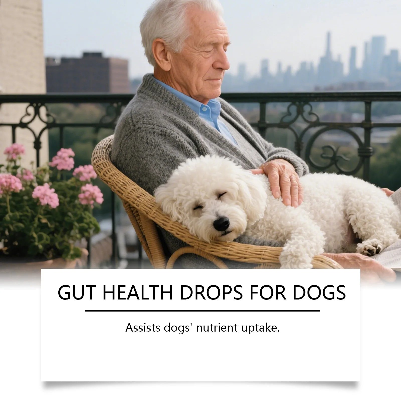 An elderly man relaxes on a balcony holding a sleeping white curly-haired dog. Text overlay: Gut health drops for dogs.