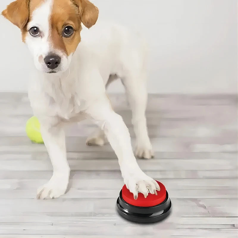 A small dog placing its paw on a round, red and black interactive recordable training button on a light wood floor.