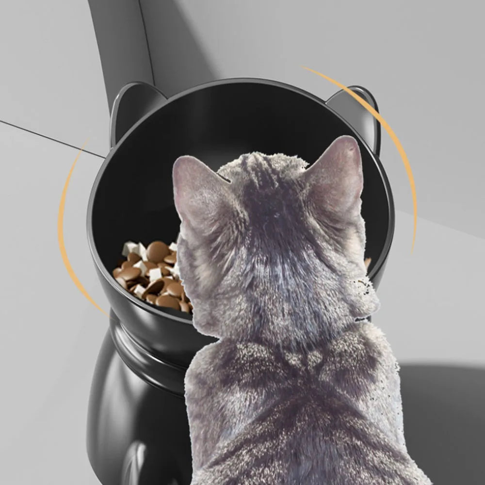A grey tabby kitten eating from an elevated, black cat-shaped feeding bowl with ergonomic tilted design.