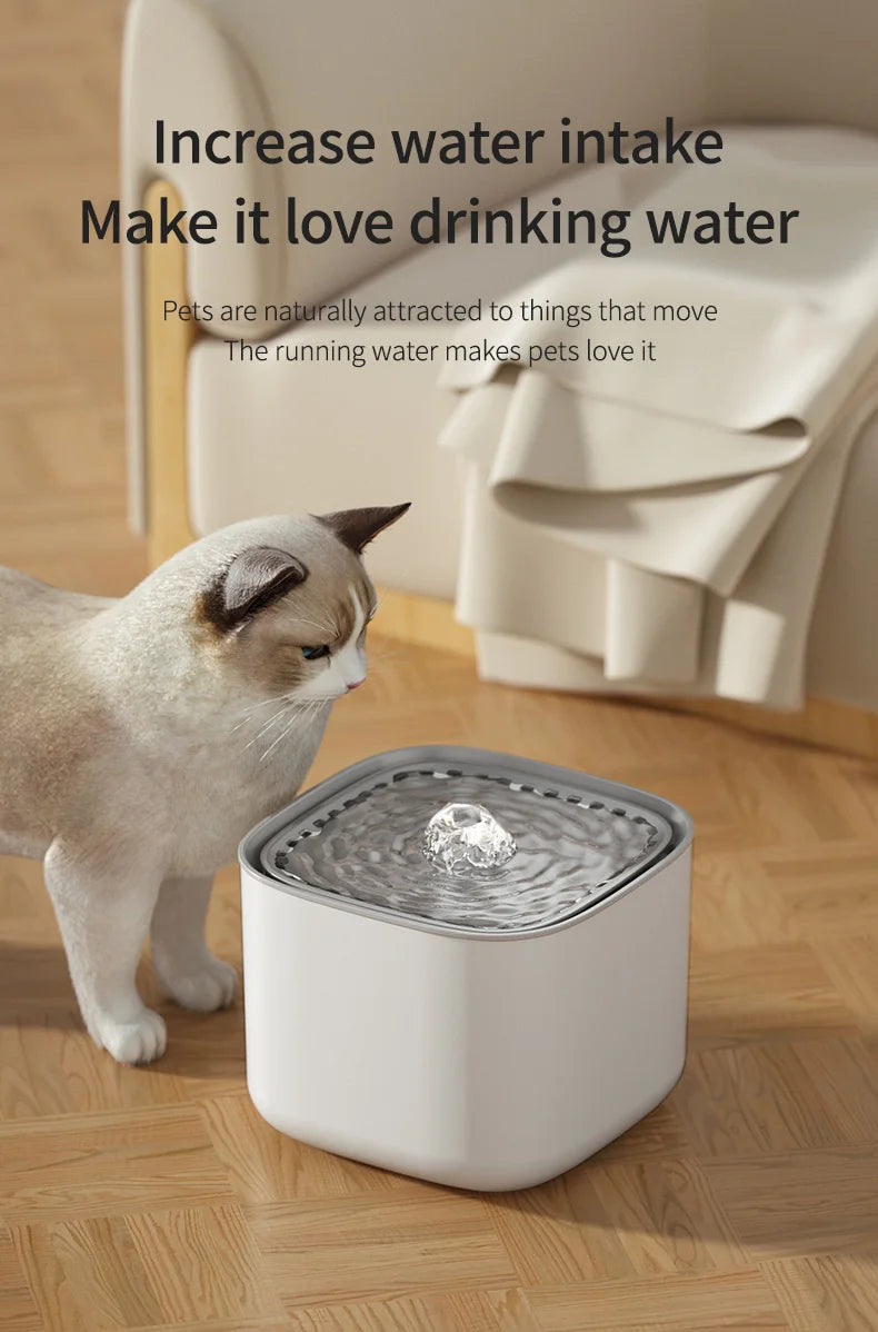 A cat looks at a minimalist white, square pet water fountain with a bubbling stream on a wooden floor.