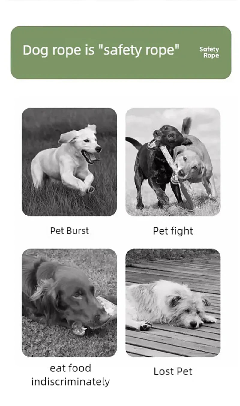 Four black and white photos showing dogs running, playing, eating, and resting to highlight safety leash benefits.