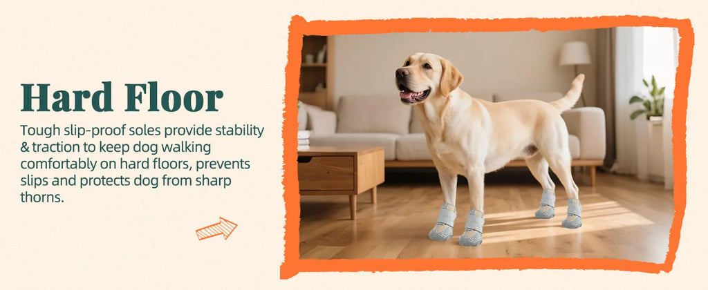 A Labrador wearing breathable grey non-slip dog boots with rugged rubber soles while standing on a hardwood floor.