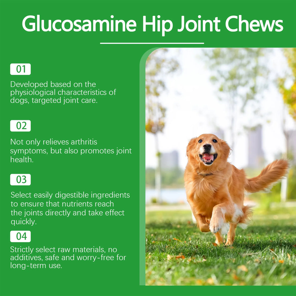 Green infographic for Glucosamine Hip Joint Chews for dogs, featuring a happy Golden Retriever running in a park.