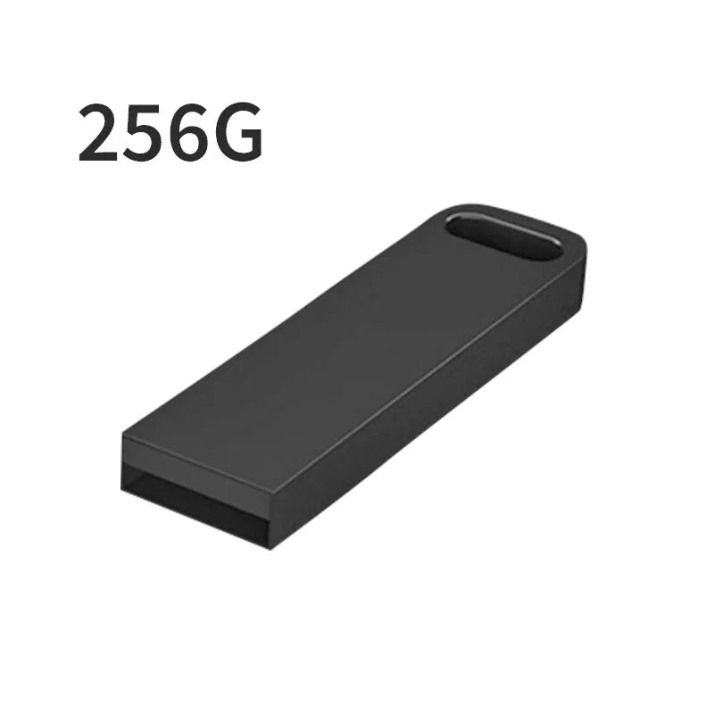 A sleek, matte black metal USB flash drive with a built-in key loop, labelled 256G for high-capacity storage.