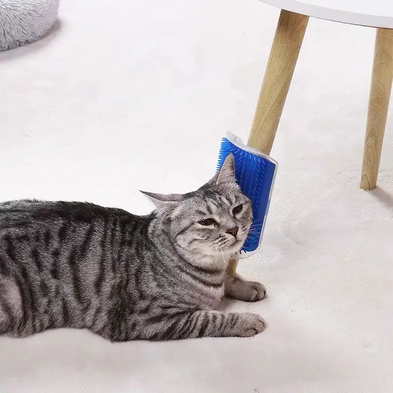 A grey tabby cat rubbing its face against a blue bristle cat self-groomer attached to a table leg.