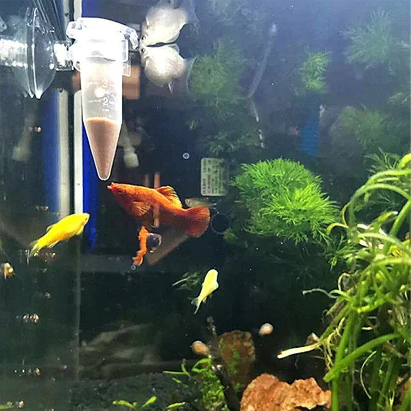 Clear plastic suction-cup fish feeder cone filled with brown fish food inside a planted aquarium with colorful fish.