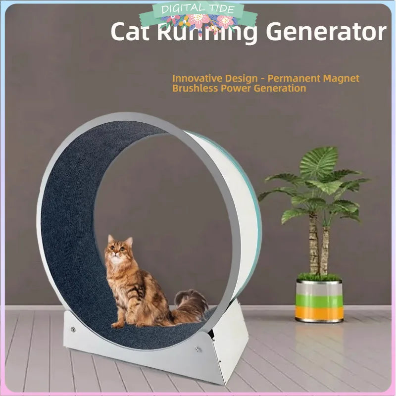 A fluffy brown cat sitting inside a modern, white and dark grey circular pet exercise wheel on a white floor.