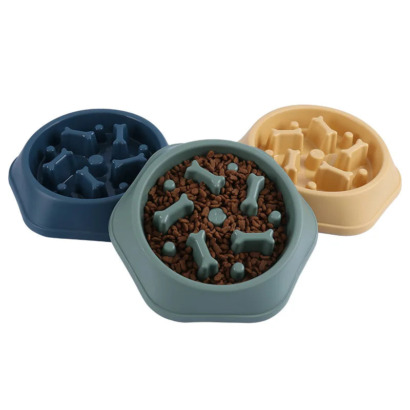 Three hexagonal slow-feeder dog bowls in blue, sage, and beige with bone-shaped dividers, one filled with dry kibble.