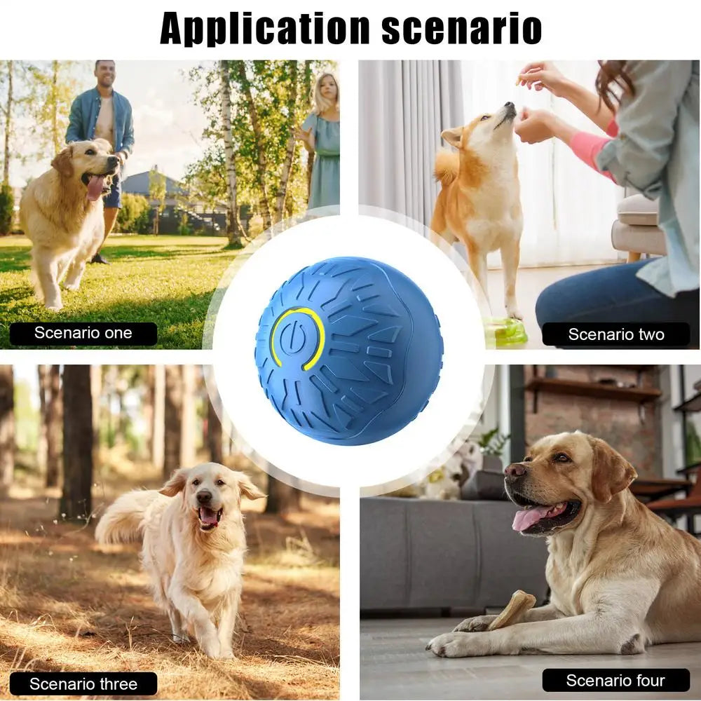 Blue textured automatic interactive dog toy ball with a yellow power button, shown in various indoor and outdoor settings.