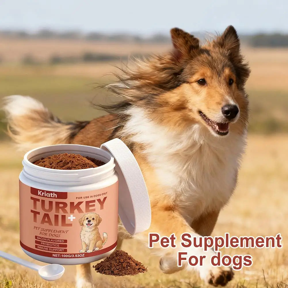 A tub of bacon-flavoured turkey tail powder supplement for dogs, featuring immune support and probiotics.
