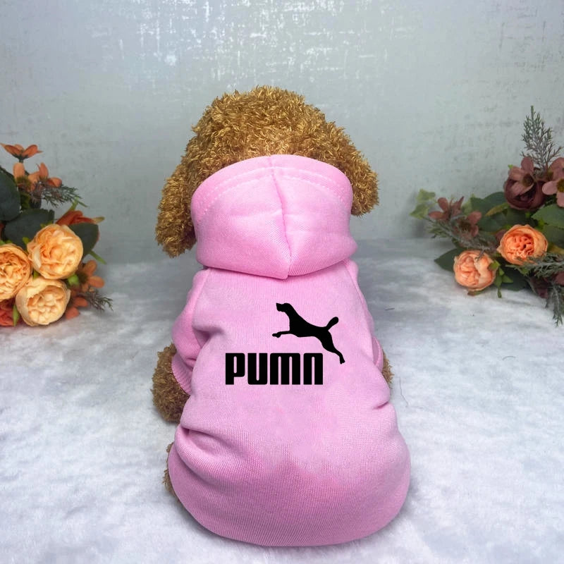A fluffy brown dog wearing a soft, pastel pink hooded jumper with a black jumping dog motif on the back.