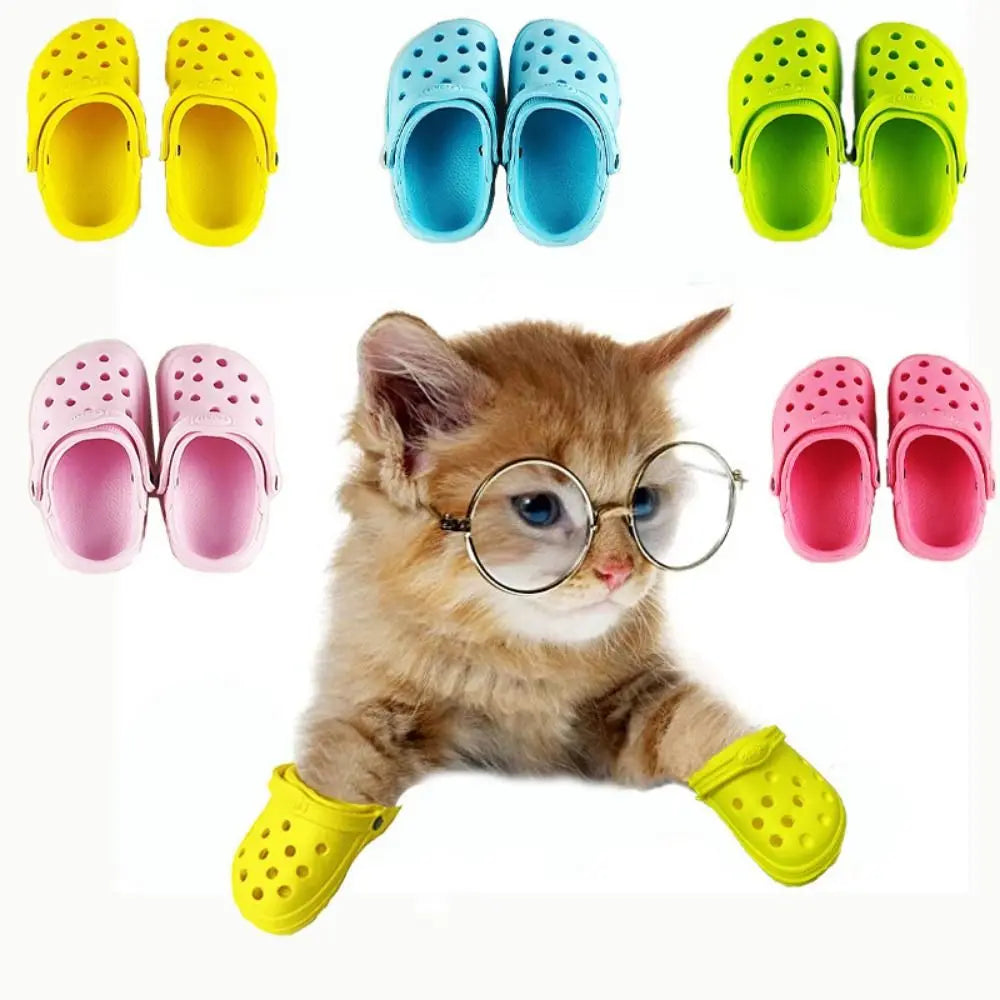 A ginger kitten wearing round glasses and small, colourful, clog-style non-slip sandals, with extra pairs shown above.