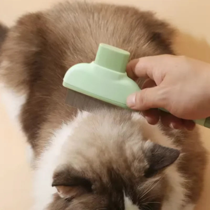A hand using a pale green pet grooming brush with fine metal bristles to brush a fluffy brown and white cat.
