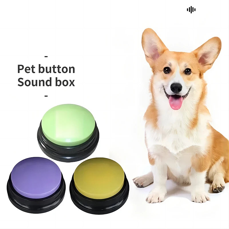 Three round, recordable dog training buttons in green, purple, and yellow, sitting beside a happy Corgi.