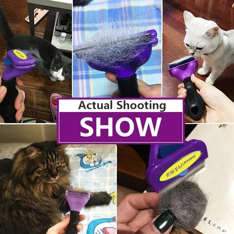 Purple self-cleaning pet grooming brush removing cat hair, shown in use on various cats.