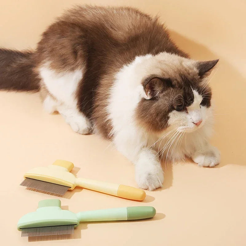 A fluffy cat beside two pet grooming combs in pastel yellow and green on a peach background.