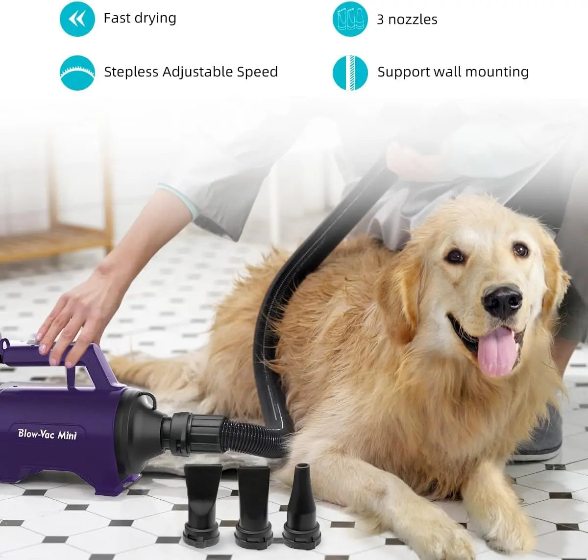 Purple professional pet hair dryer for dogs with a flexible hose, three nozzle attachments, and wall-mount capability.