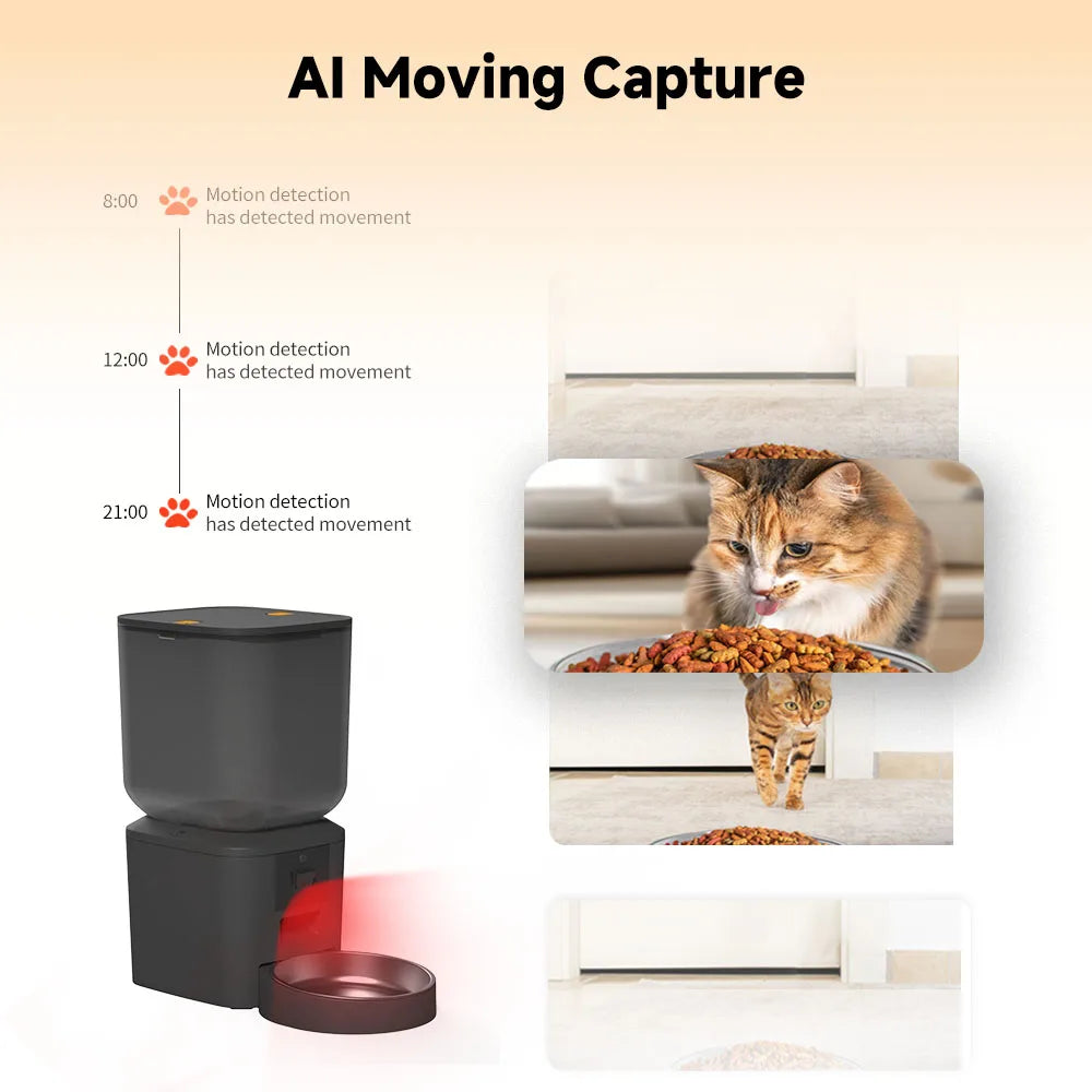 Black smart pet feeder with an integrated camera that captures movement and photos of cats eating.