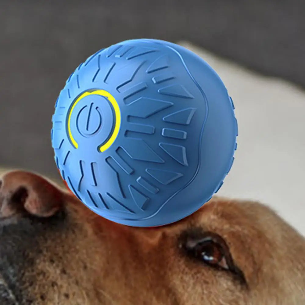 Blue interactive dog ball toy with a textured surface and a yellow power button, positioned above a dog’s head.