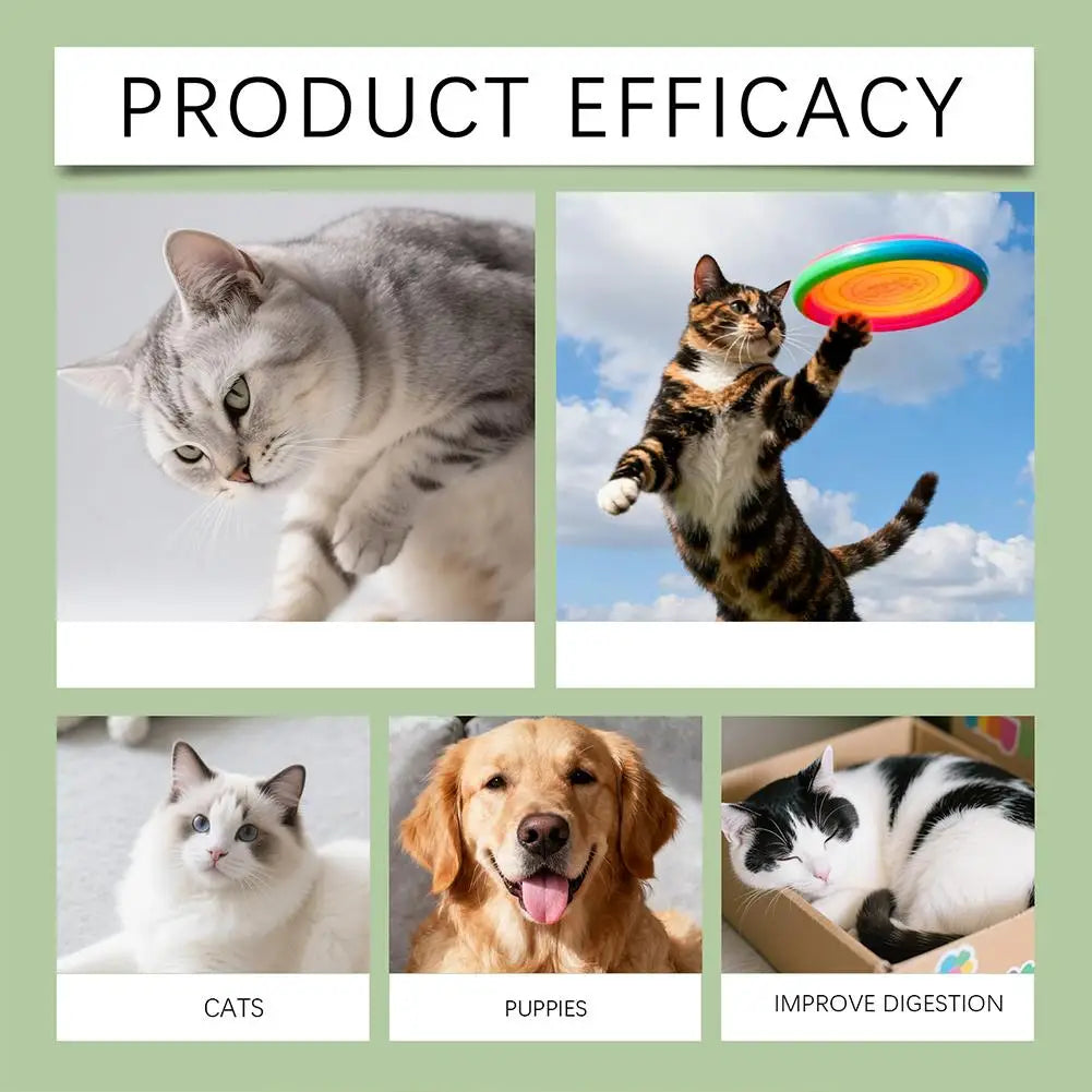 Infographic showing healthy, happy cats and a puppy to illustrate pet product benefits and improved digestion.
