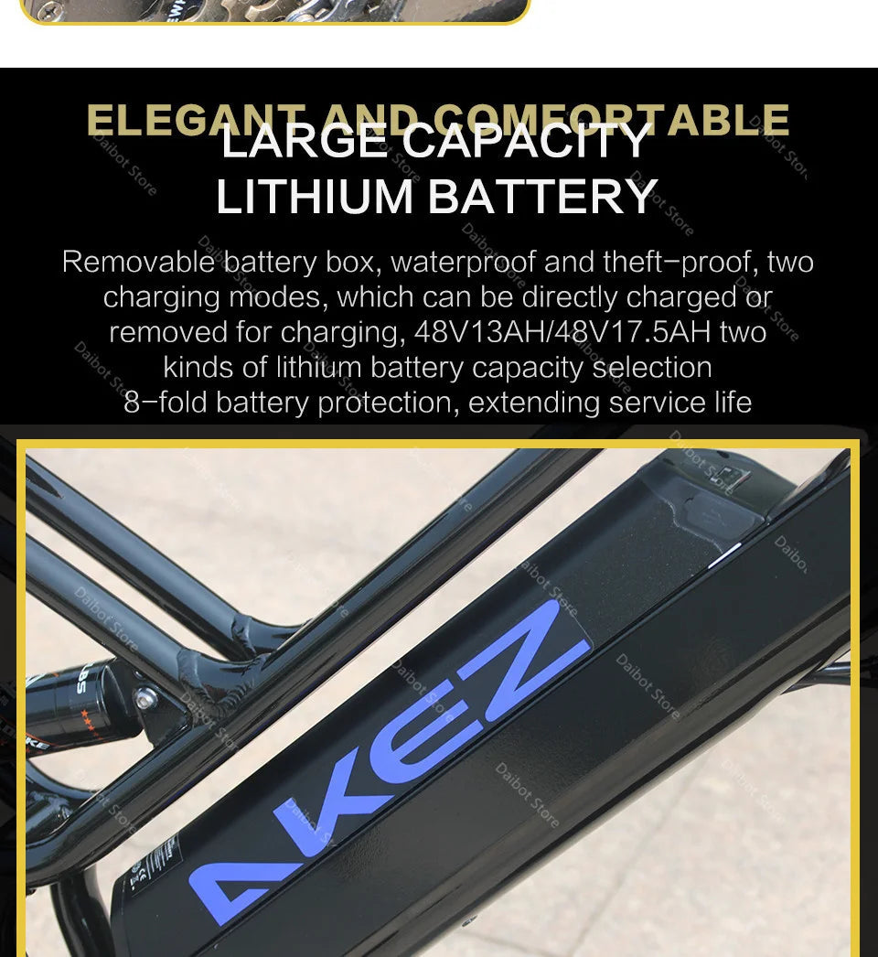 Powerful Electric bike 750W 48V Fat Tire bike