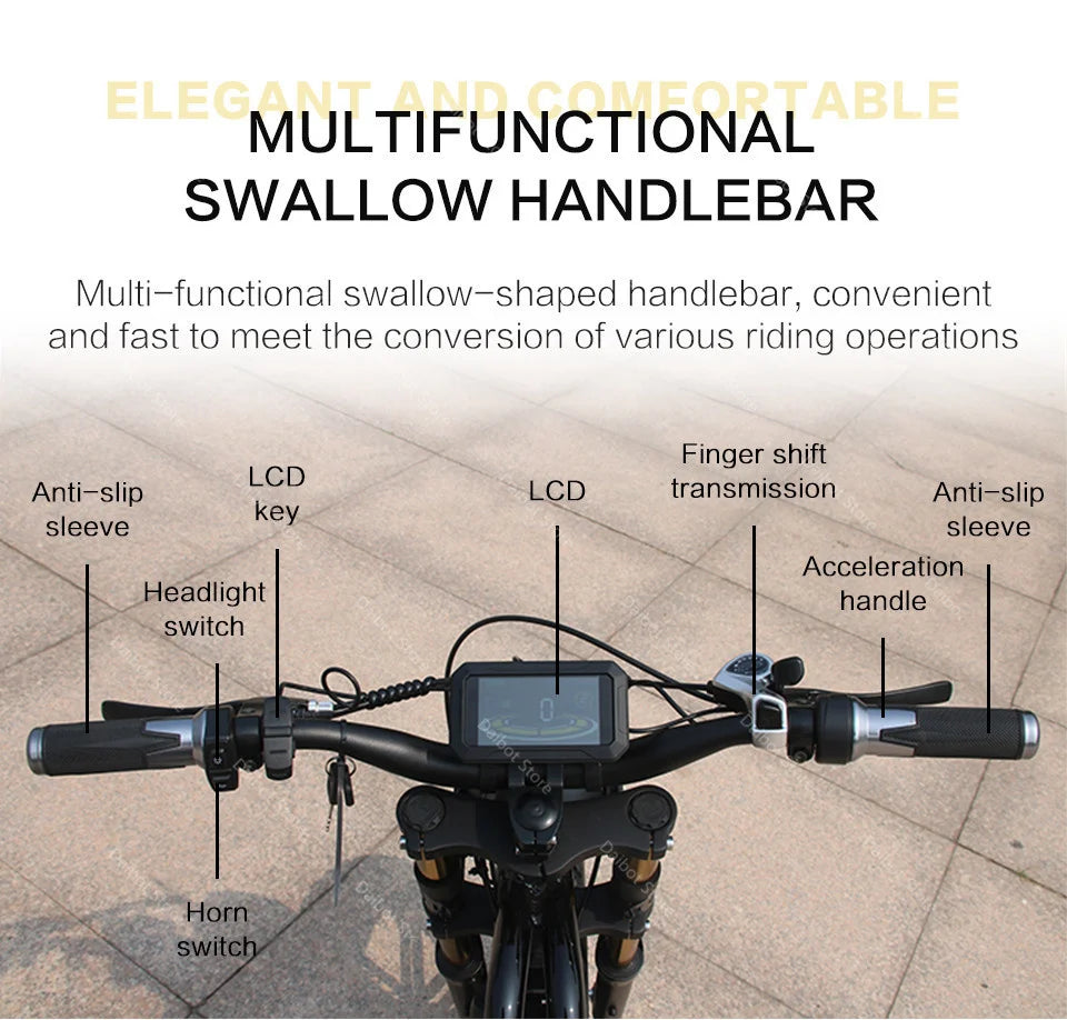 Powerful Electric bike 750W 48V Fat Tire bike